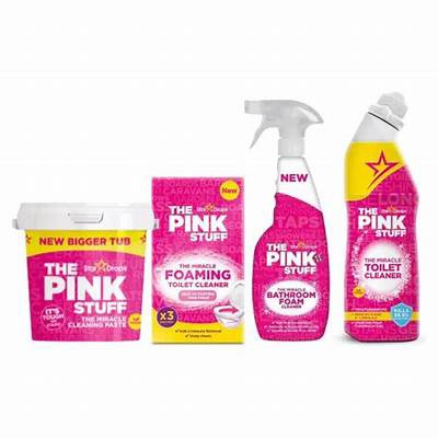 PINK STUFF- CARPET or WINDOW cleaner